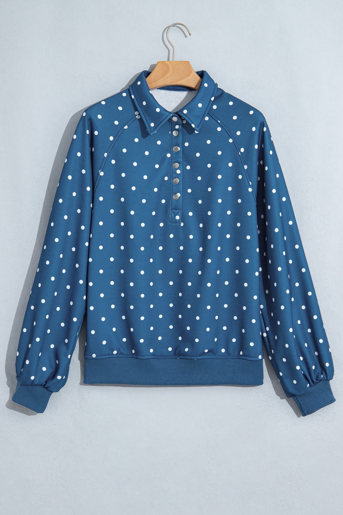 Blue Polka Dot Print Metal Button Collar Casual Pullover Sweatshirt — image 02