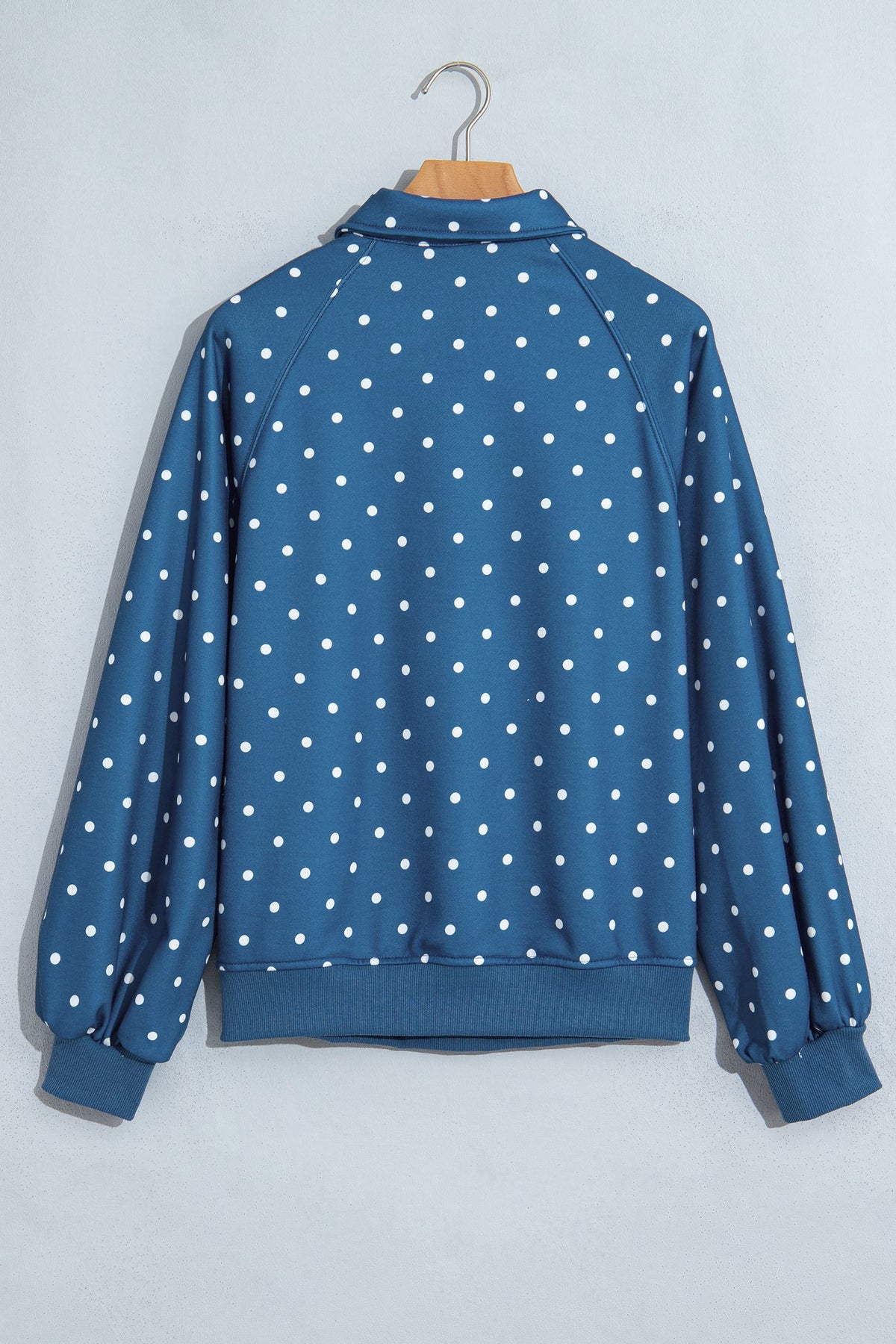 Blue Polka Dot Print Metal Button Collar Casual Pullover Sweatshirt — image 03