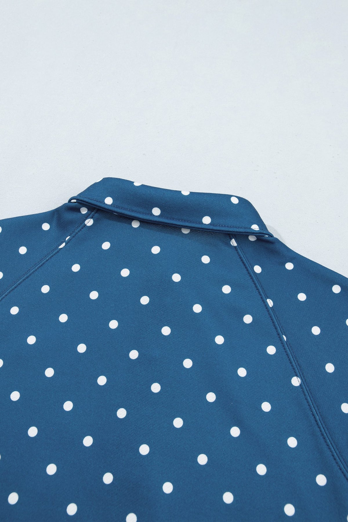 Blue Polka Dot Print Metal Button Collar Casual Pullover Sweatshirt — image 05