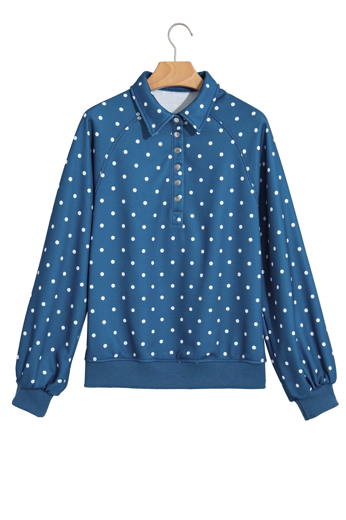 Blue Polka Dot Print Metal Button Collar Casual Pullover Sweatshirt — image 09