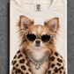 Longhair Chihuahua
