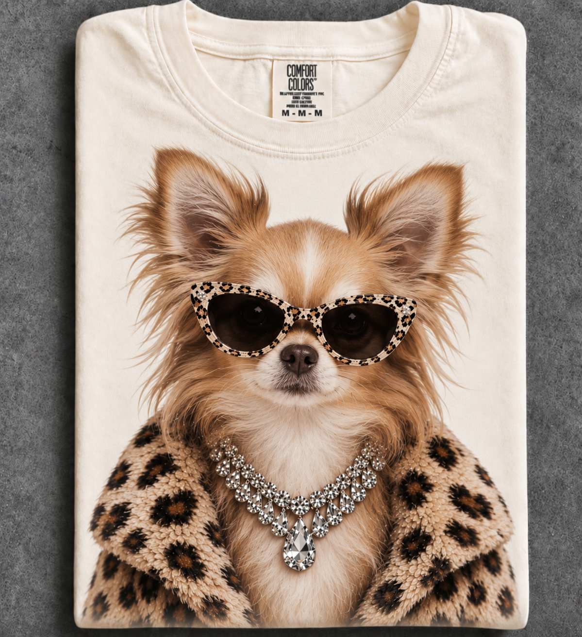 Longhair Chihuahua