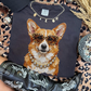 Corgi #2 (Black)