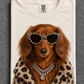 Longhair Red Dachshund