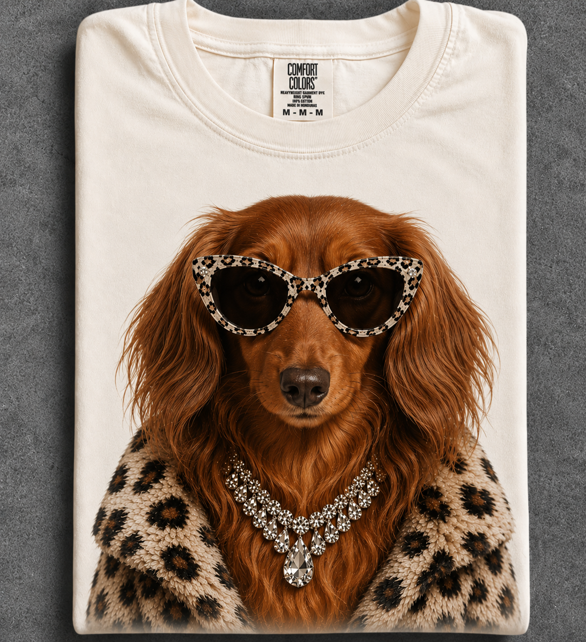 Longhair Red Dachshund