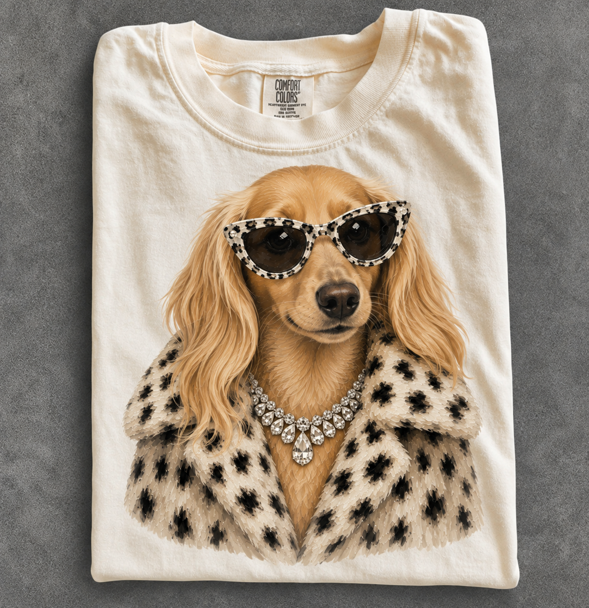 Longhair Blonde Weenie Dog