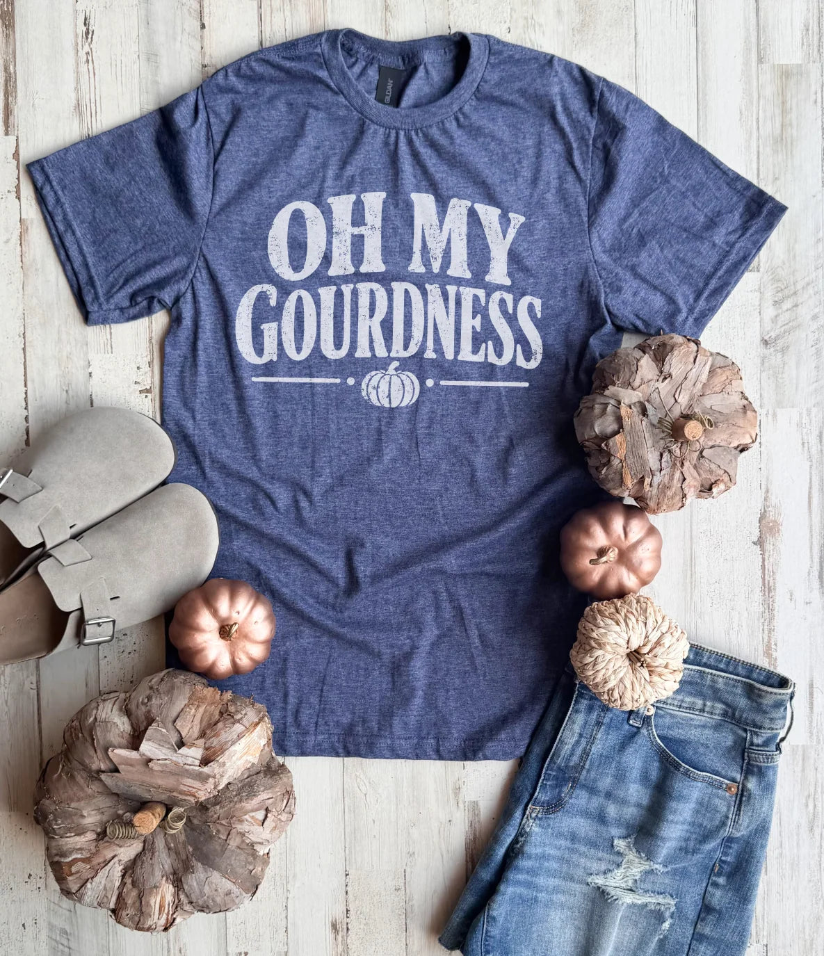 FLASH DEAL // PREORDER: Oh My Gourdness Tee // ships in about 2 weeks