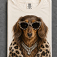 Longhair Brown Dachshund