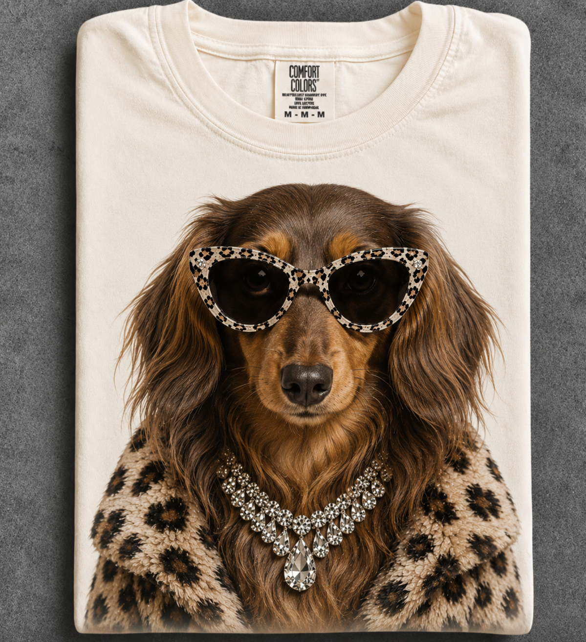 Longhair Brown Dachshund
