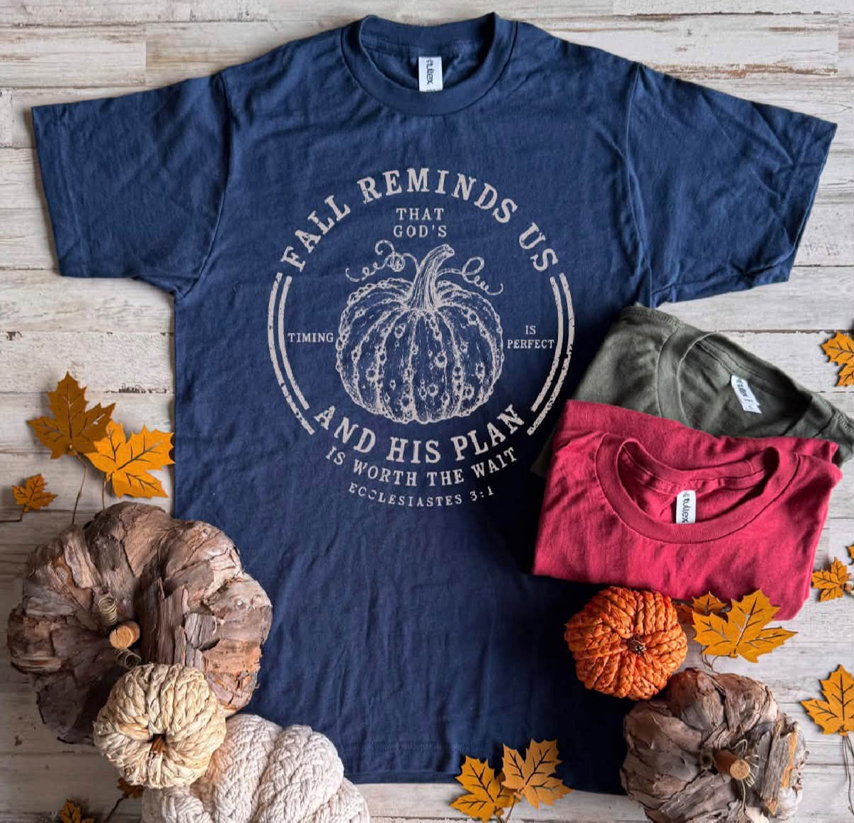 FLASH DEAL // Preorder: Fall Reminds Us // Ships Free in 1-2 Weeks